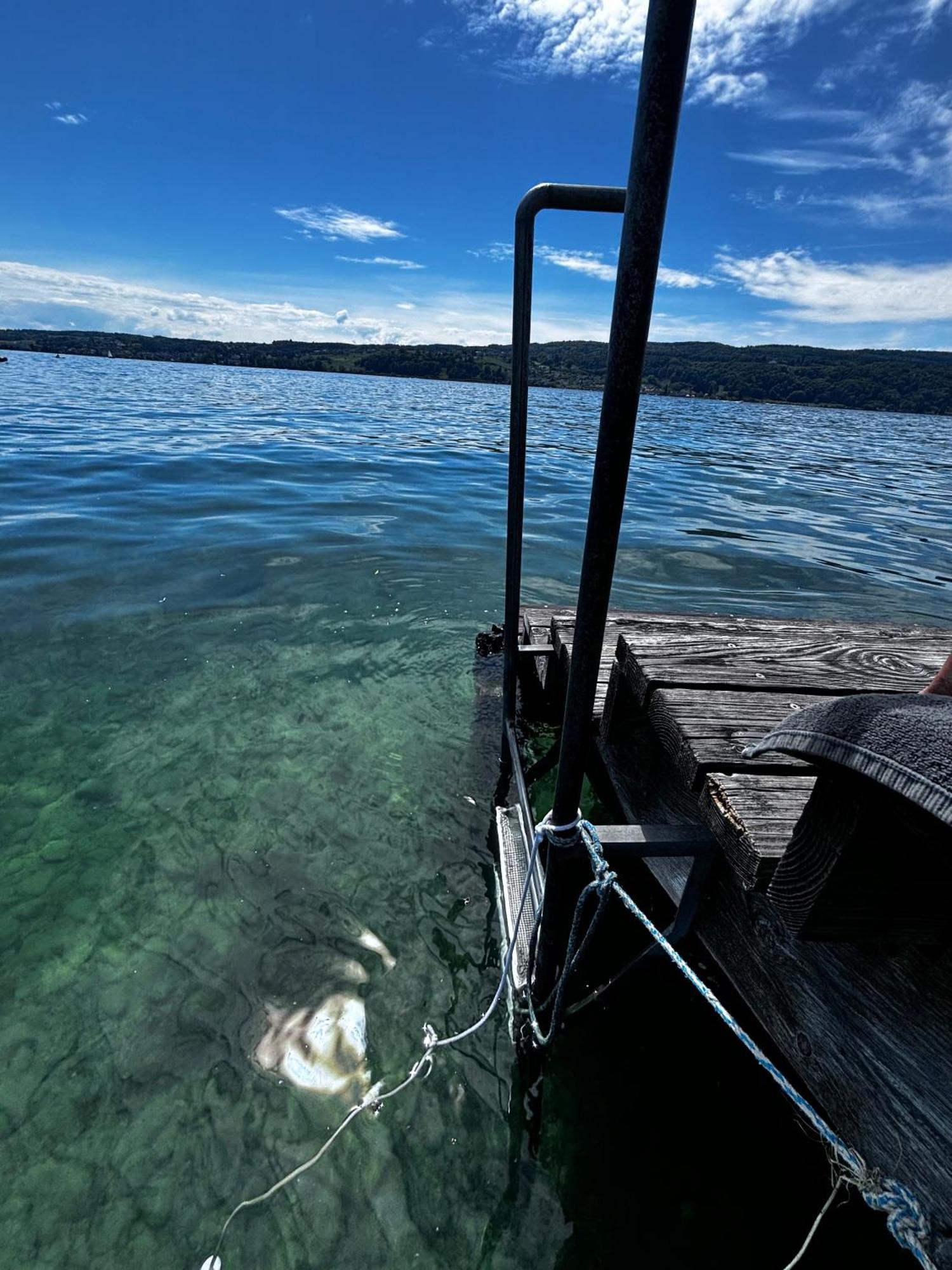 Lake View 110Sqm In/Outdoor Living Entire Apartment With 2 Bedrooms Reichenau Εξωτερικό φωτογραφία